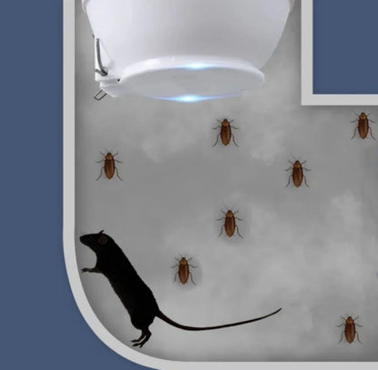 Best WC Hole Cover Cap in Pakistan to prevent smell, rats, and insects
