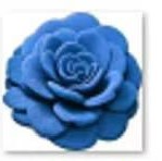 3D Flower Floor Mat (60cm*60cm)